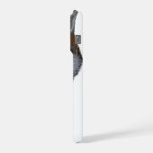 Red Fox (Côté gauche)