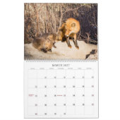 Red Fox 2023 - Calendrier (Mar 2027)