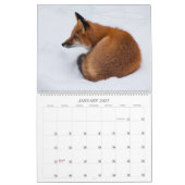Red Fox 2023 - Calendrier (Jan 2027)