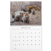 Red Fox 2023 - Calendrier (Feb 2027)