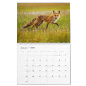 Red Fox 2025 Kalender (Jan 2027)
