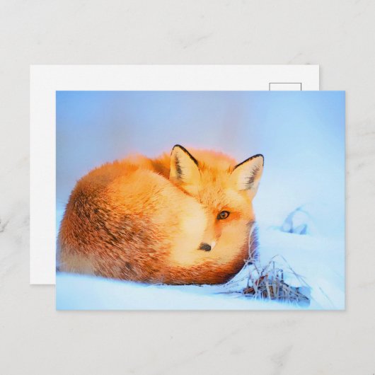 *~* Red Fox AP18 Artistic Painting Wildlife Artsy Briefkaart (Voorkant / Achterkant)