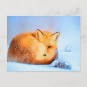 *~* Red Fox AP18 Artistic Painting Wildlife Artsy Briefkaart (Voorkant)