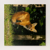 Red Fox Beauty Legpuzzel (Horizontaal)