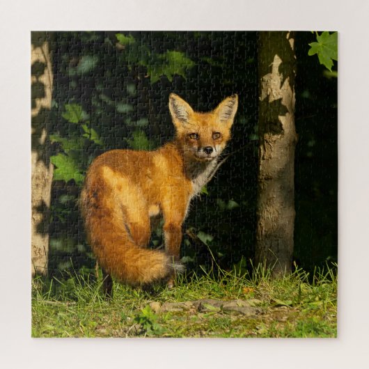 Red Fox Beauty Legpuzzel (Verticaal)