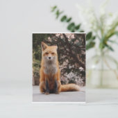 Red Fox Briefkaart (Staand voorkant)