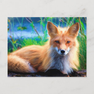 Red Fox Briefkaart