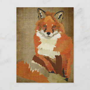 Red Fox  Briefkaart