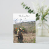 Red Fox Briefkaart (Staand voorkant)