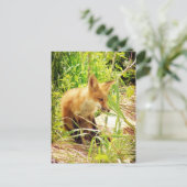 Red Fox Briefkaart (Staand voorkant)