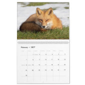 Red Fox Calendar Kalender (Feb 2027)