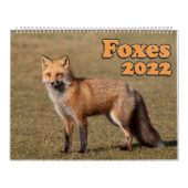 Red Fox Calendar Kalender (Hoes)