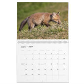 Red Fox Calendar Kalender (Mar 2027)