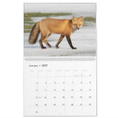 Red Fox Calendar Kalender (Jan 2027)