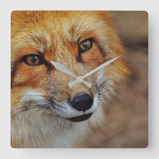 Red Fox Clock Vierkante Klok