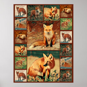 Red Fox Collage Poster