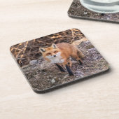 Red Fox dichtbij en persoonlijk Bier Onderzetter (Linkerzijde)