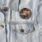 Red Fox dichtbij en persoonlijk Ronde Button 5,7 Cm (In situ)