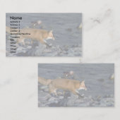 Red Fox die langs de rivier loopt Visitekaartje (Voorkant / Achterkant)