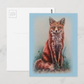 Red Fox Drawing Animal Art Pencil Schets Briefkaart (Voorkant / Achterkant)