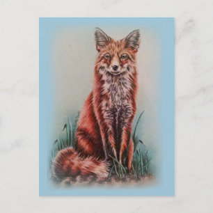 Red Fox Drawing Animal Art Pencil Schets Briefkaart