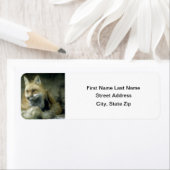 Red Fox Etiket (Insitu)