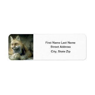 Red Fox Etiket
