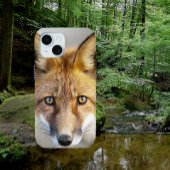 Red Fox Face, close-up Case-Mate iPhone Case