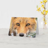 Red Fox Face - Ogen Kaart (Gele Bloem)