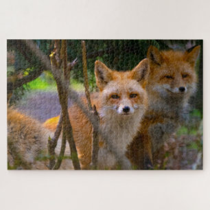 Red Fox familie uitdagende Natuur Lover Legpuzzel
