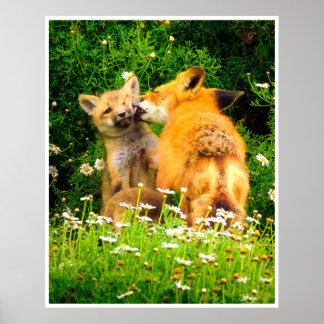 Red Fox Family Wildlife Tender Nature Art Print