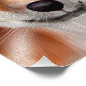 Red Fox Foto Afdruk (Hoek)