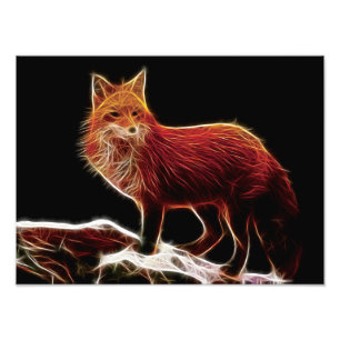 Red Fox Fractal Foto Afdruk