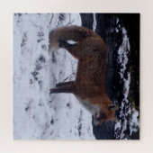 Red Fox in Sneeuw puzzel (Horizontaal)