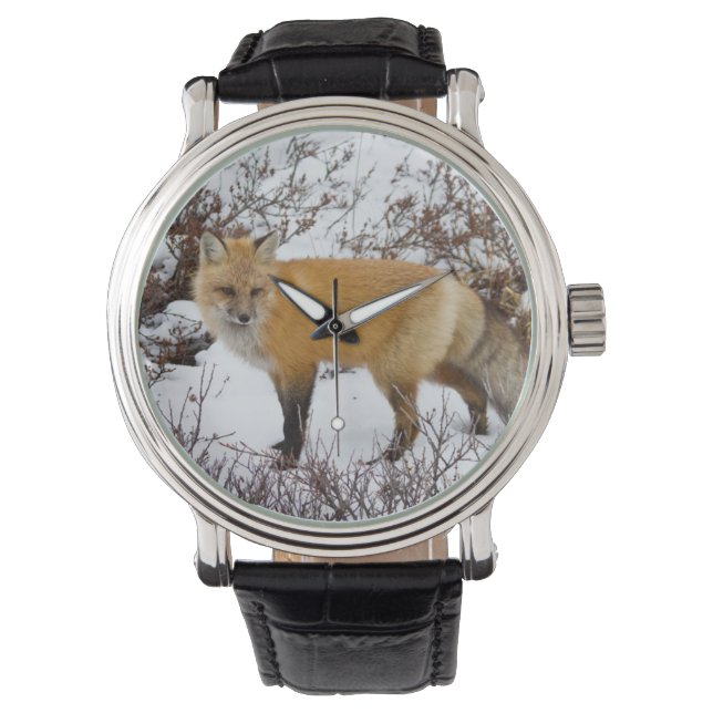 Red Fox in snow in winter Horloge (Voorkant)