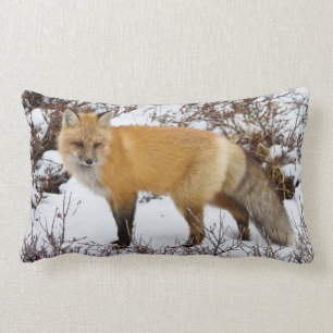 Red Fox in snow in winter Kussen