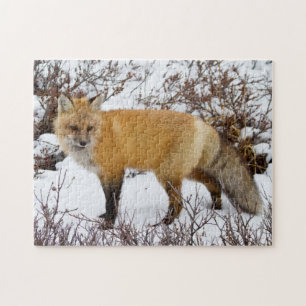Red Fox in snow in winter Legpuzzel