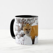 Red Fox in snow in winter Mok (Voorkant links)