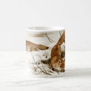 Red Fox in Winter Koffiemok