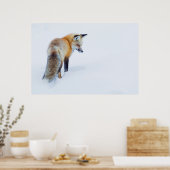 Red Fox in Winter Poster (Keuken)