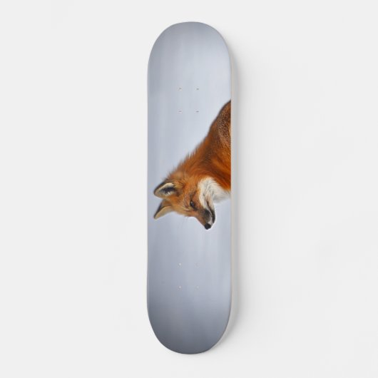 Red Fox in Winter Snow Skateboard (Voorkant)