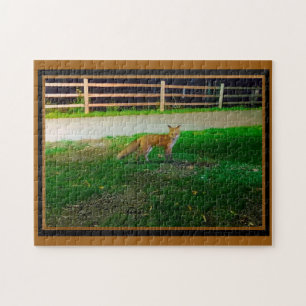 Red Fox Jigzaag Puzzle Legpuzzel