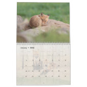Red Fox Kalender (Jan 2026)
