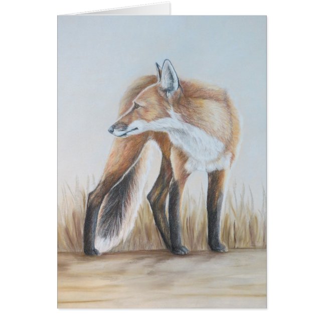 Red Fox kijkt terug (Voorkant)