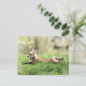 Red Fox Kit Briefkaart (Staand voorkant)