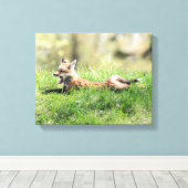 Red Fox Kit Canvas Afdruk (Insitu (Houten vloer))