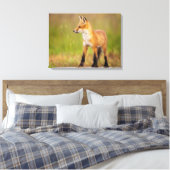 Red Fox Kit Canvas Afdruk (Insitu (Slaapkamer))