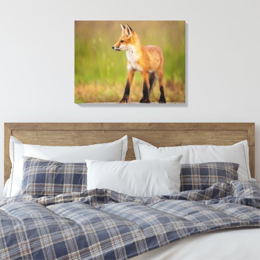 Red Fox Kit Canvas Afdruk (Insitu (Slaapkamer))