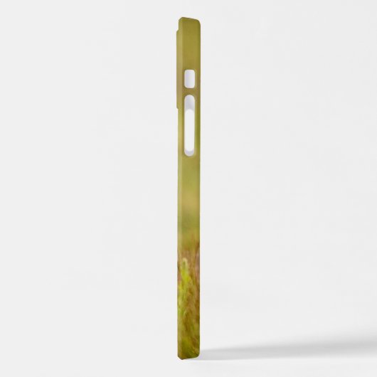 Red Fox Kit die naar Momma kijkt iPhone Hoesje (Linkerkant)