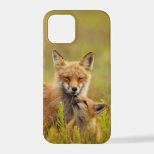 Red Fox Kit die naar Momma kijkt iPhone 12 Pro Hoesje